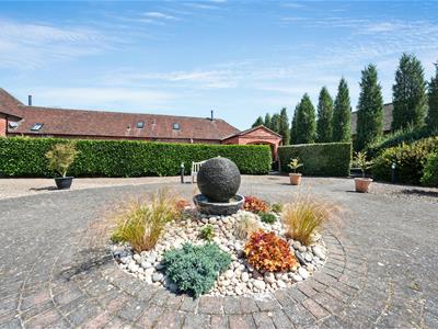 Picture 20